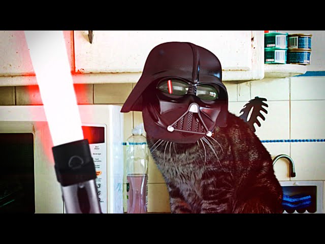 Detail Darth Vader Cat Samsung Nomer 18