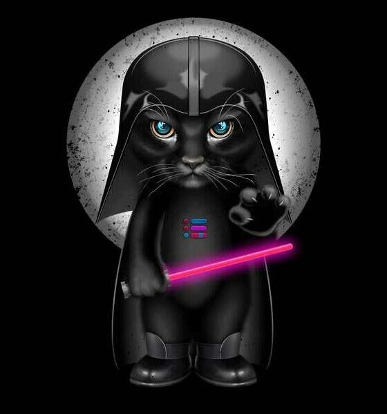 Detail Darth Vader Cat Samsung Nomer 3