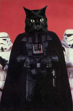 Detail Darth Vader Cat Samsung Nomer 19
