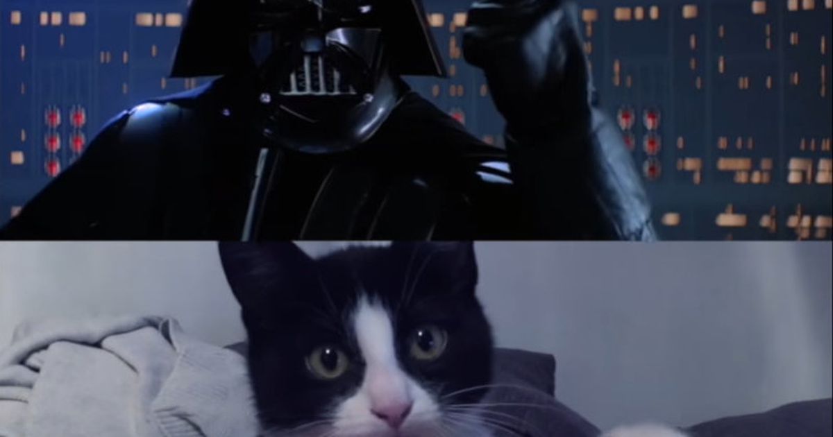 Detail Darth Vader Cat Samsung Nomer 4
