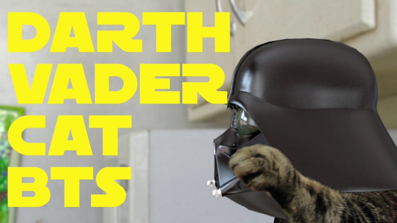 Detail Darth Vader Cat Samsung Nomer 56