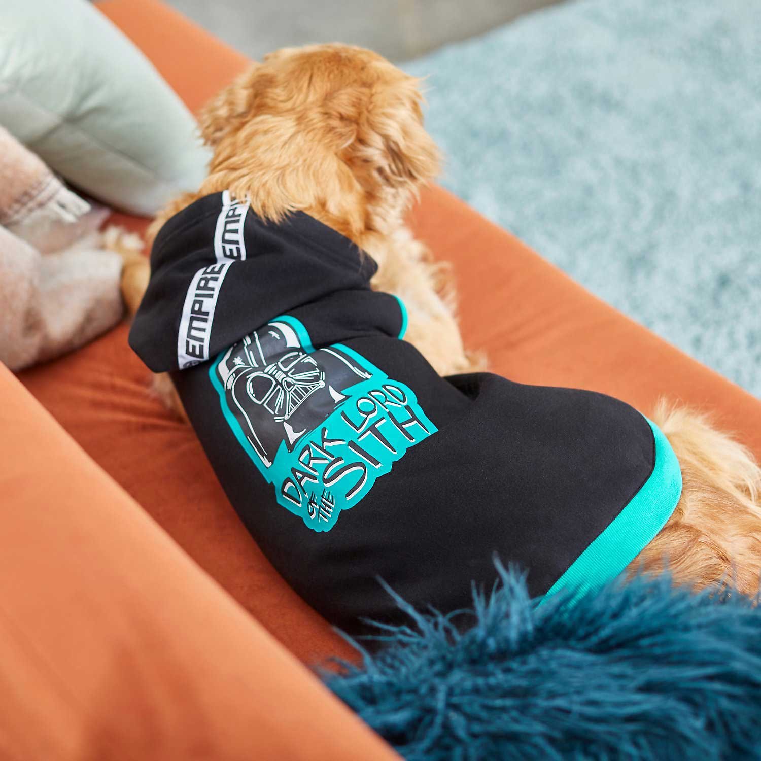 Detail Darth Vader Dog Sweater Nomer 23