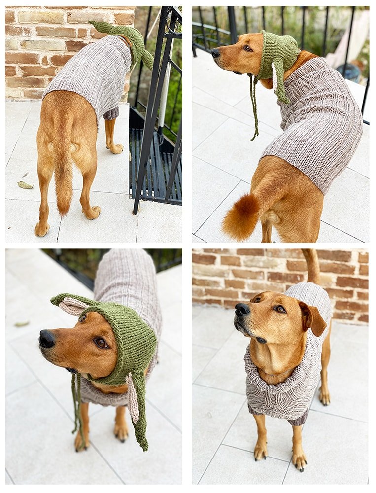 Detail Darth Vader Dog Sweater Nomer 27