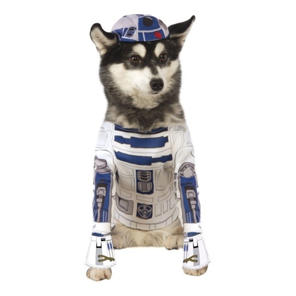 Detail Darth Vader Dog Sweater Nomer 29