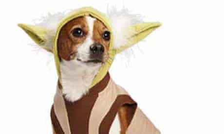 Detail Darth Vader Dog Sweater Nomer 31