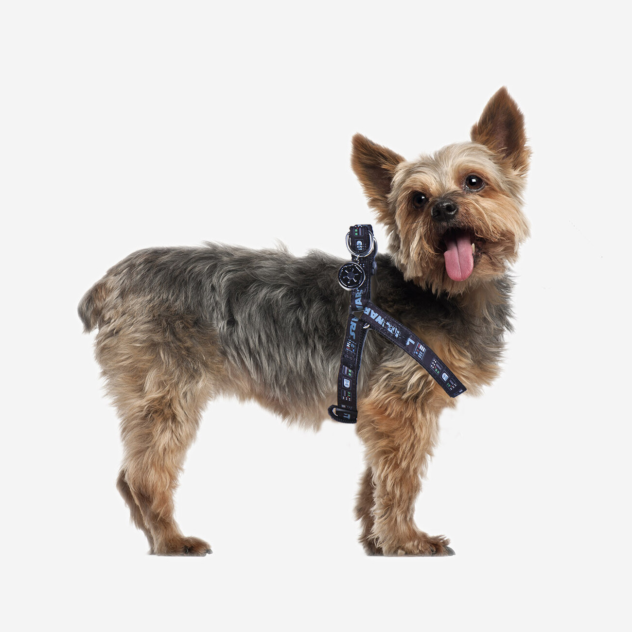 Detail Darth Vader Dog Sweater Nomer 54