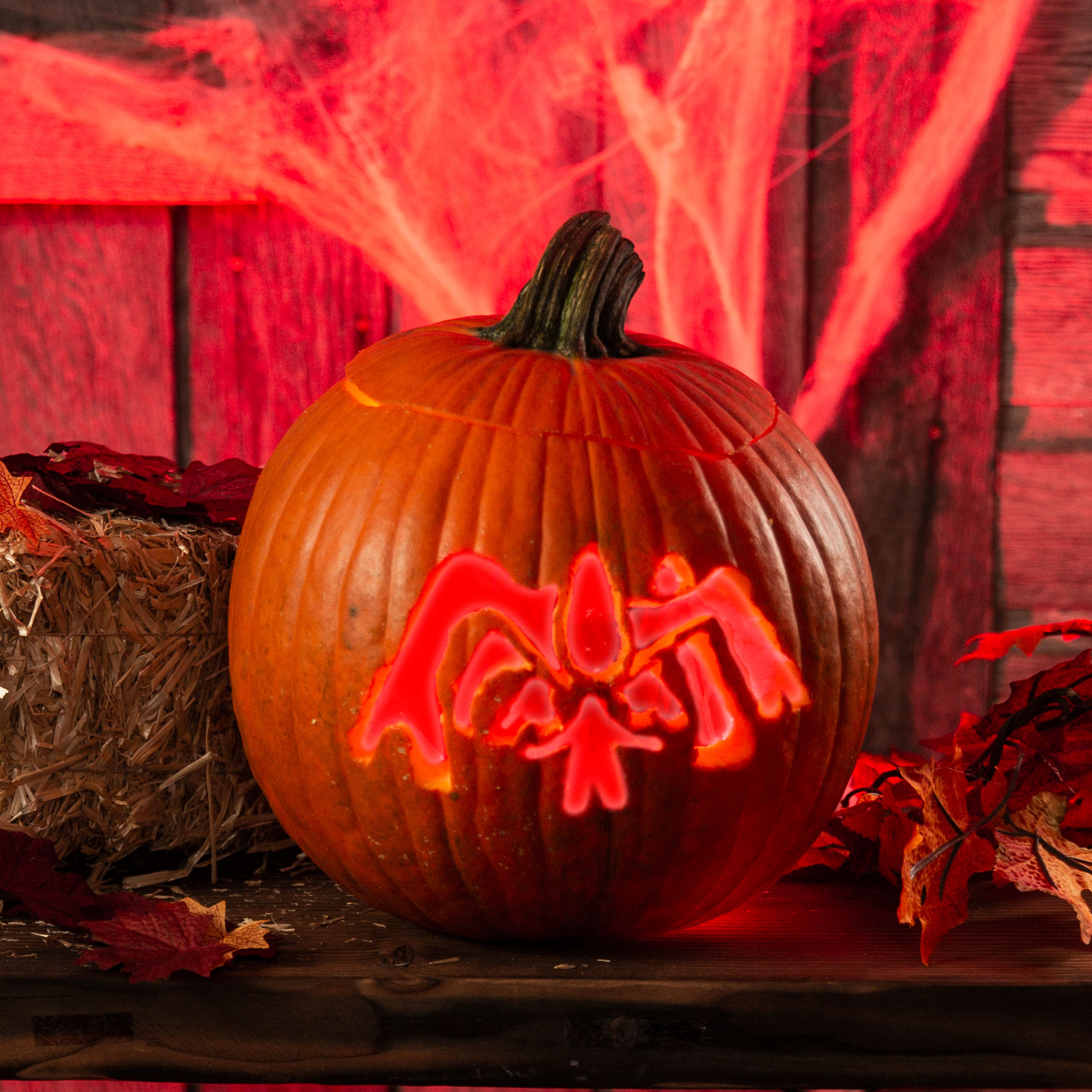 Detail Darth Vader Pumpkin Kit Nomer 41
