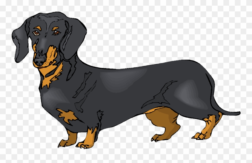 Detail Daschund Clipart Nomer 23