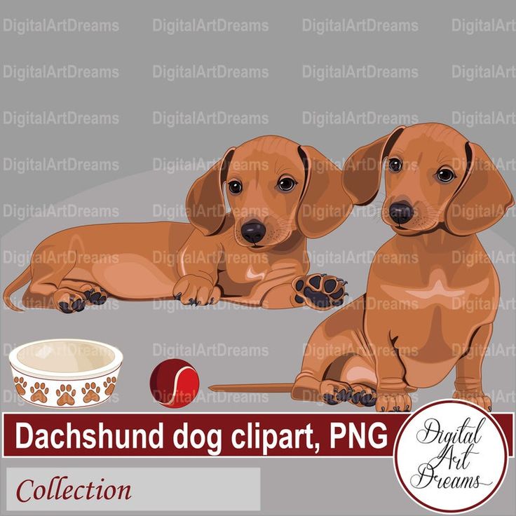 Detail Daschund Clipart Nomer 52