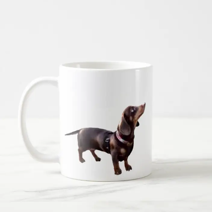Detail Daschund Coffee Mug Nomer 28