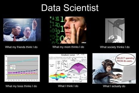 Detail Data Science Meme Nomer 5