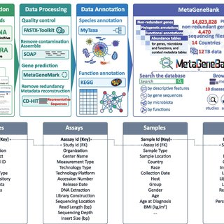 Detail Database Kos Gambar Database Bank Nomer 4