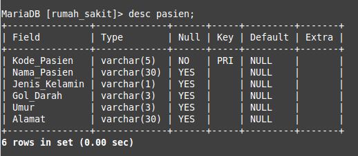 Detail Database Rumah Sakit Nomer 21