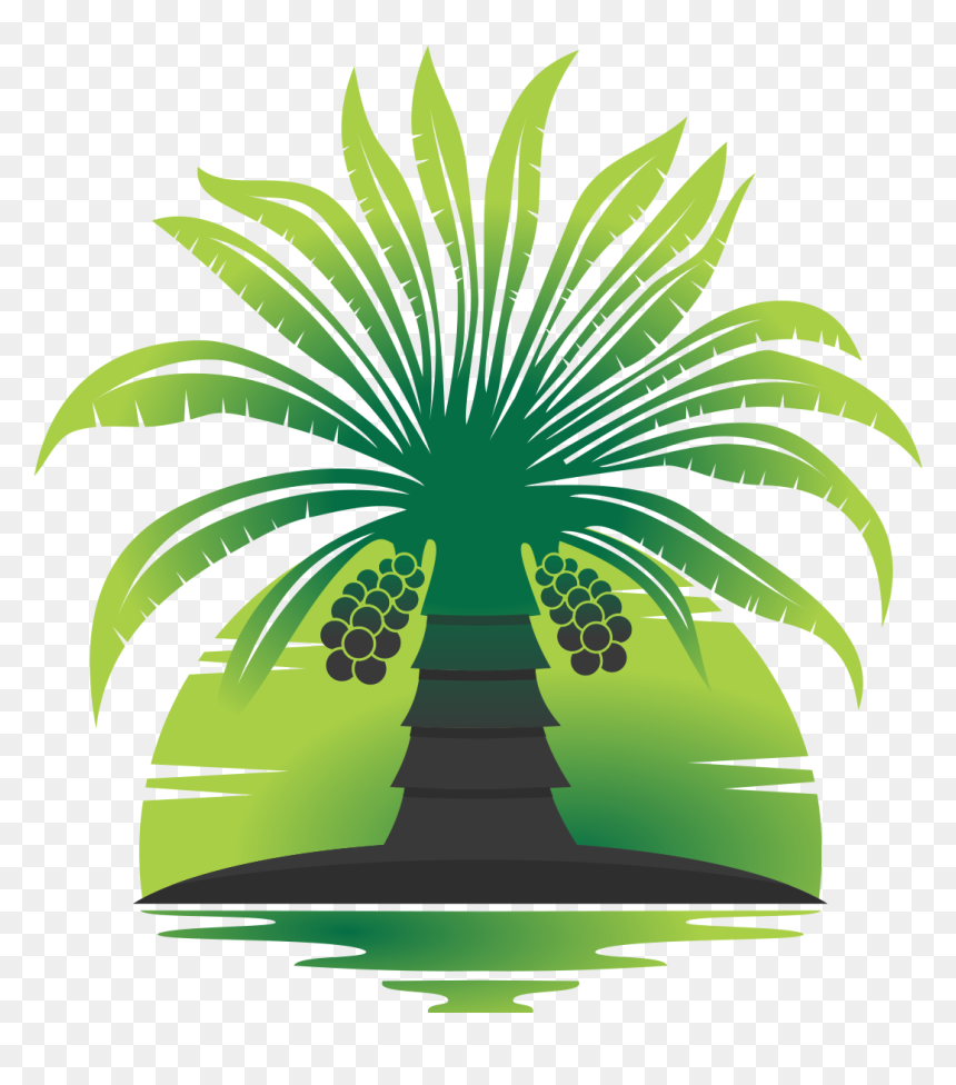 Detail Date Palm Png Nomer 32