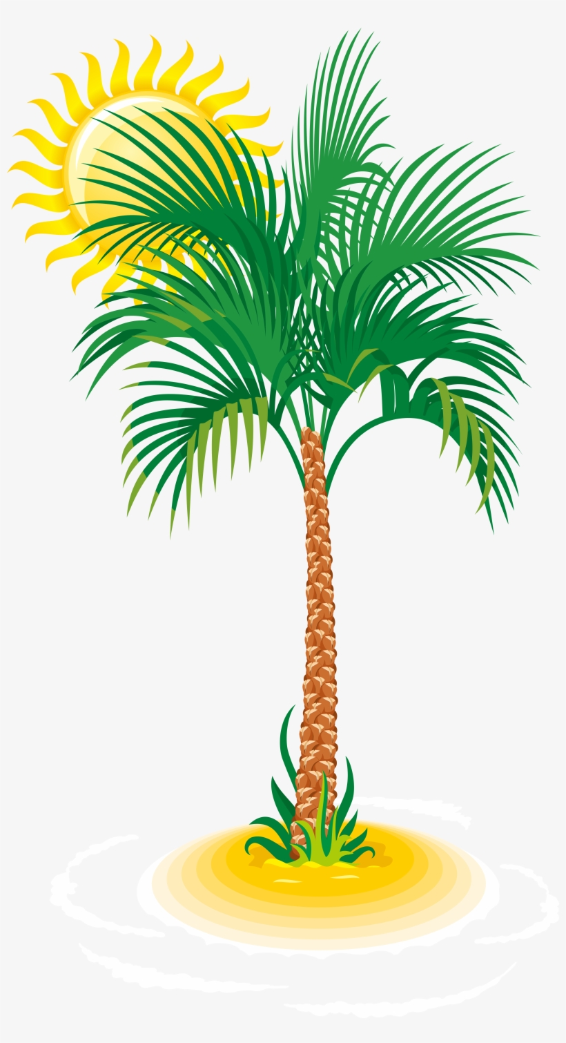 Detail Date Palm Png Nomer 41