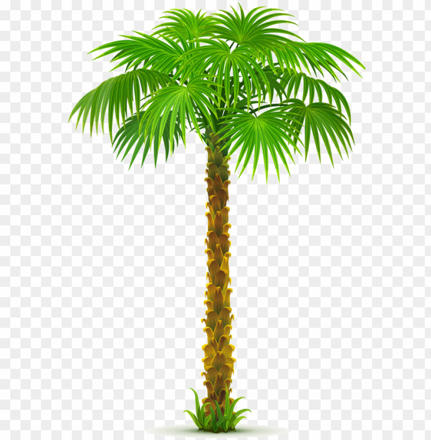 Detail Dates Tree Png Nomer 13