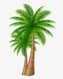 Detail Dates Tree Png Nomer 3