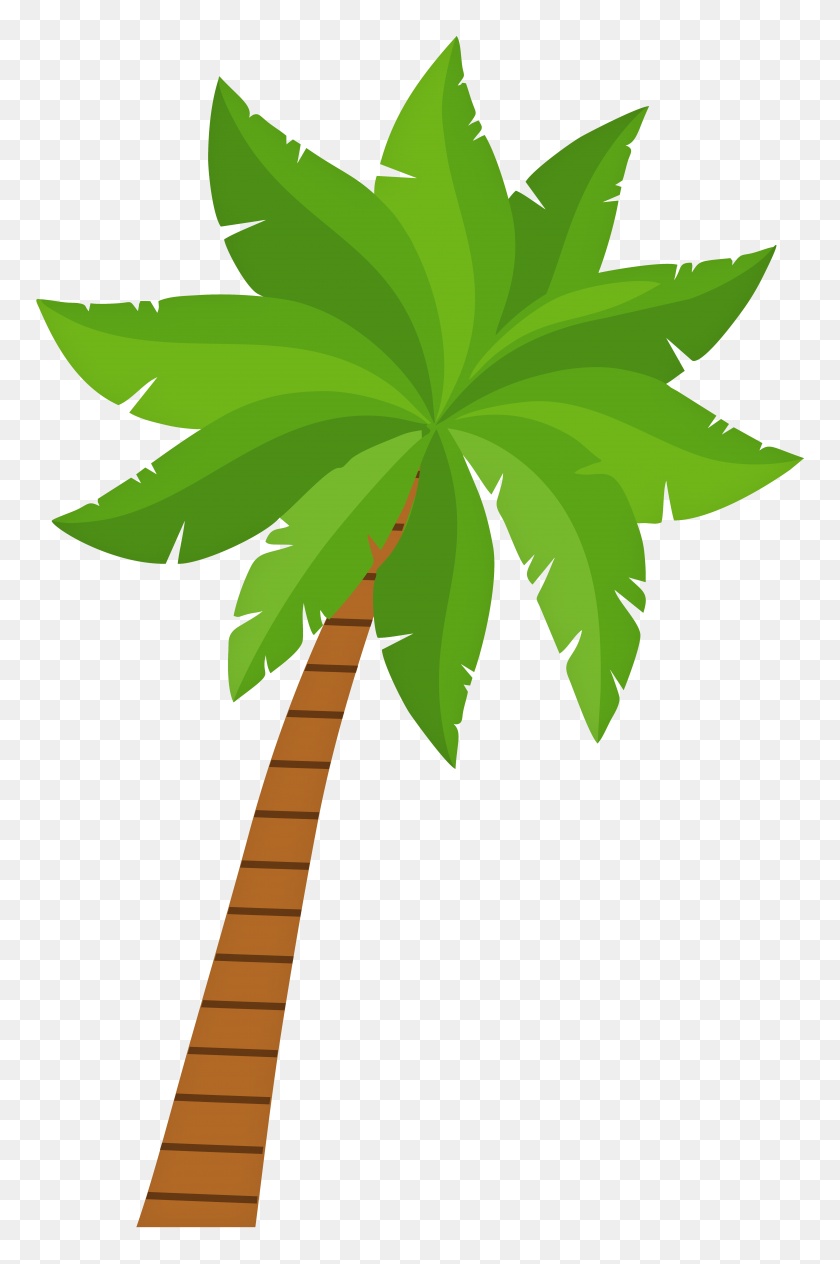 Detail Dates Tree Png Nomer 33