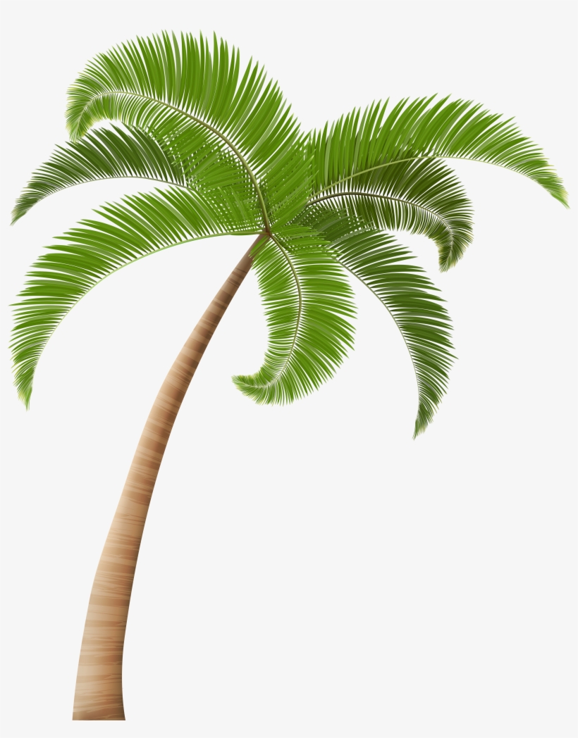 Detail Dates Tree Png Nomer 39