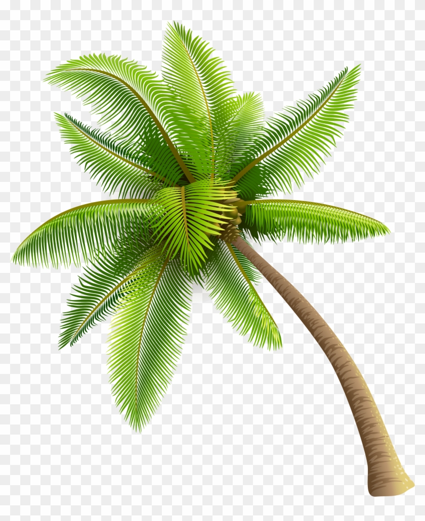 Detail Dates Tree Png Nomer 44