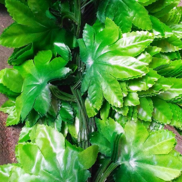 Detail Daun 5 Jari Nomer 2