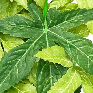 Detail Daun 5 Jari Nomer 25