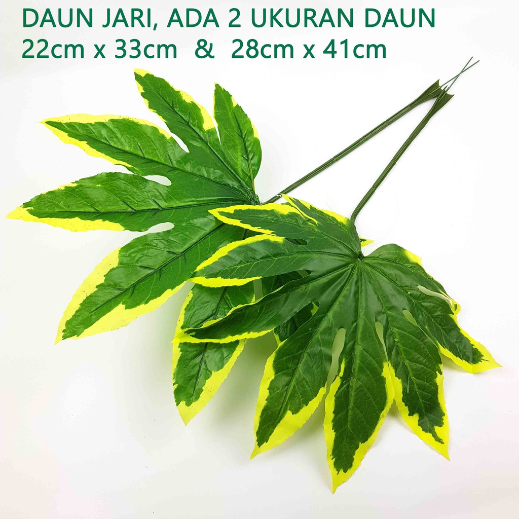Detail Daun 5 Jari Nomer 29