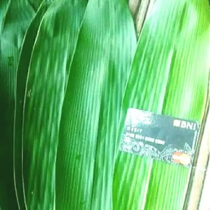 Detail Daun 5 Jari Nomer 45