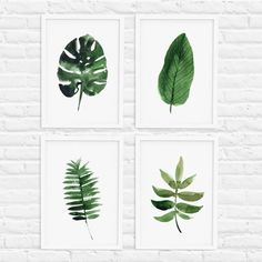 Detail Daun Aesthetic Pinterest Nomer 10