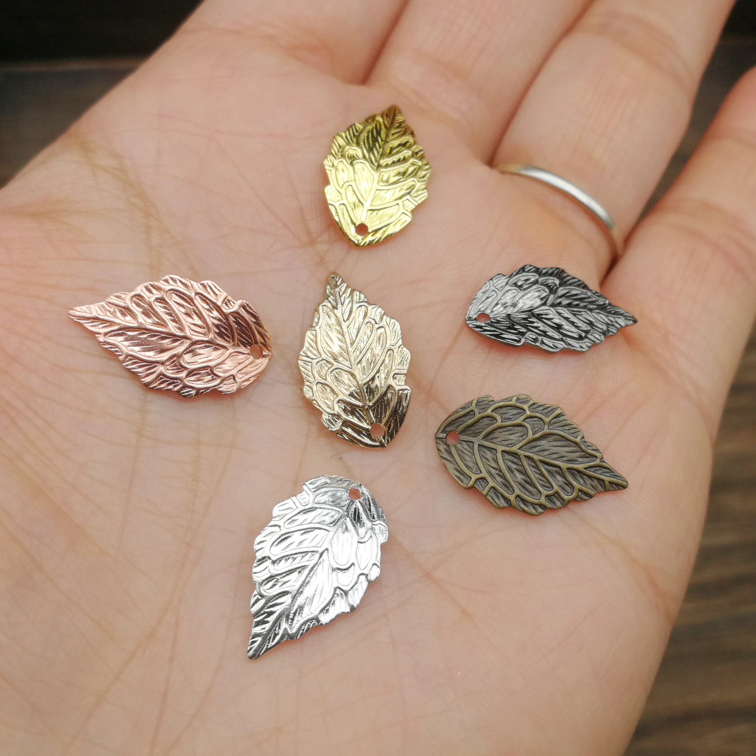 Detail Daun Anting Anting Untuk Burung Nomer 26