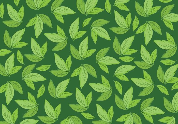 Detail Daun Background Nomer 2