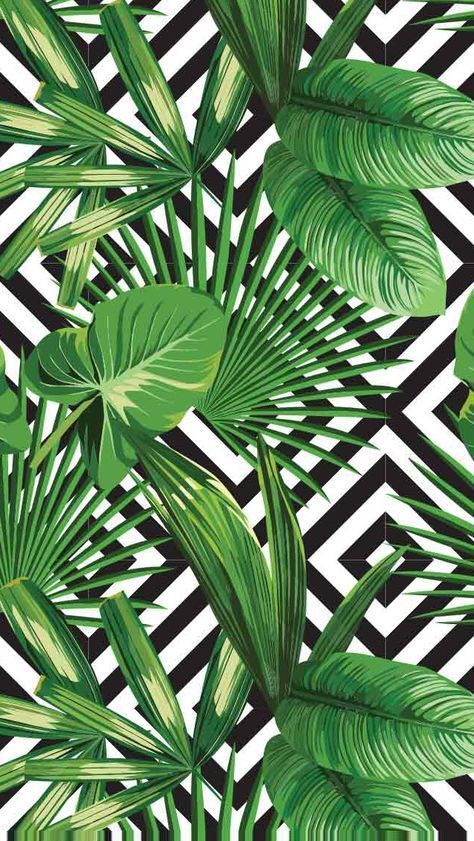 Detail Daun Background Nomer 15