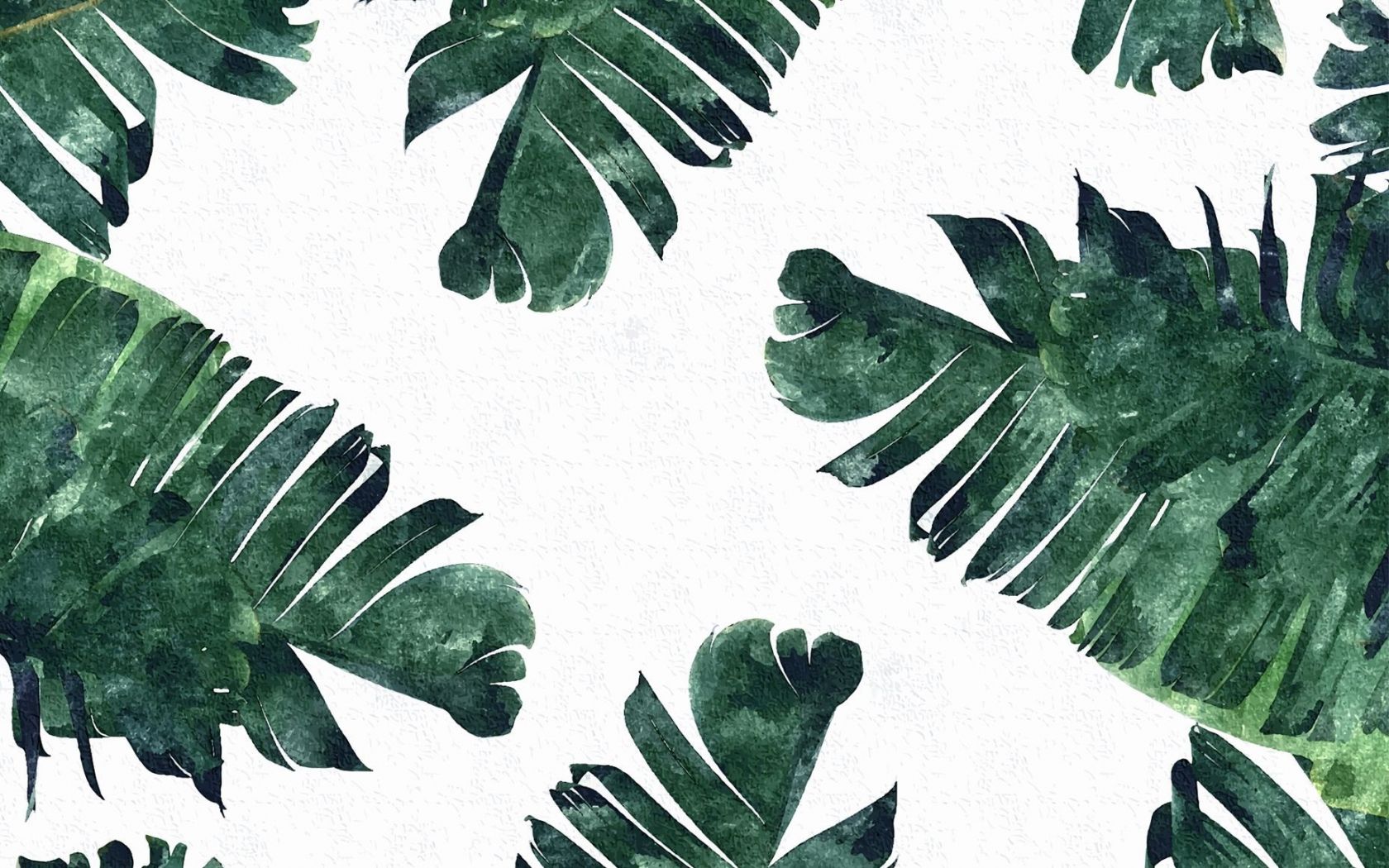 Detail Daun Background Nomer 17