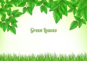 Detail Daun Background Nomer 4