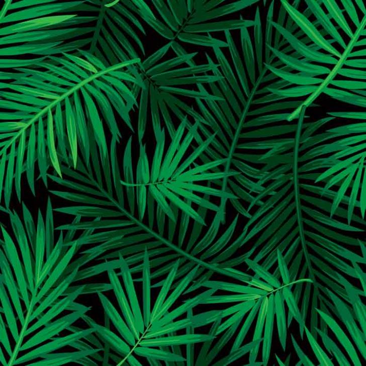 Detail Daun Background Nomer 48