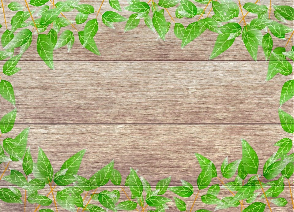 Detail Daun Background Nomer 55