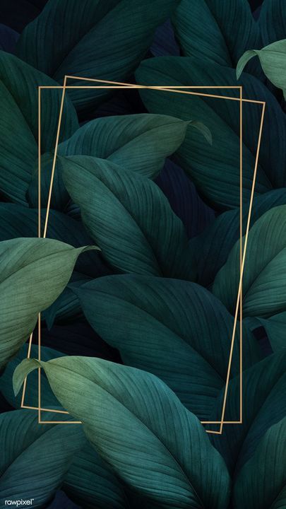 Detail Daun Background Nomer 9