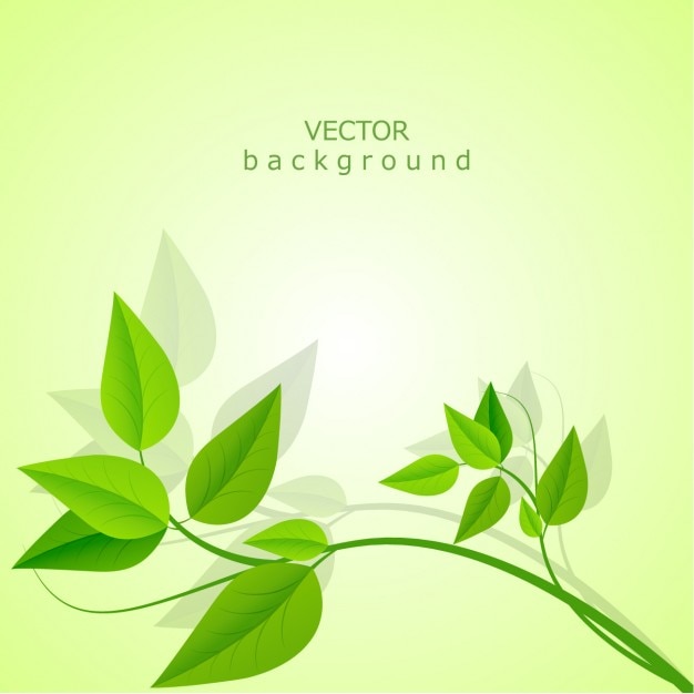 Detail Daun Background Vector Nomer 25