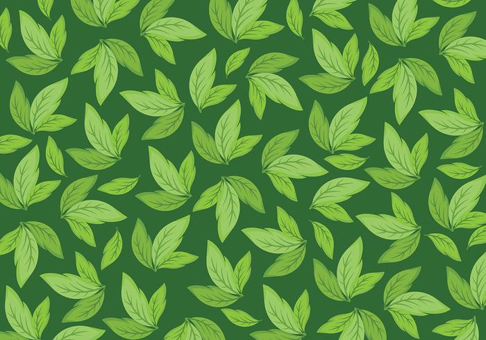 Detail Daun Background Vector Nomer 6