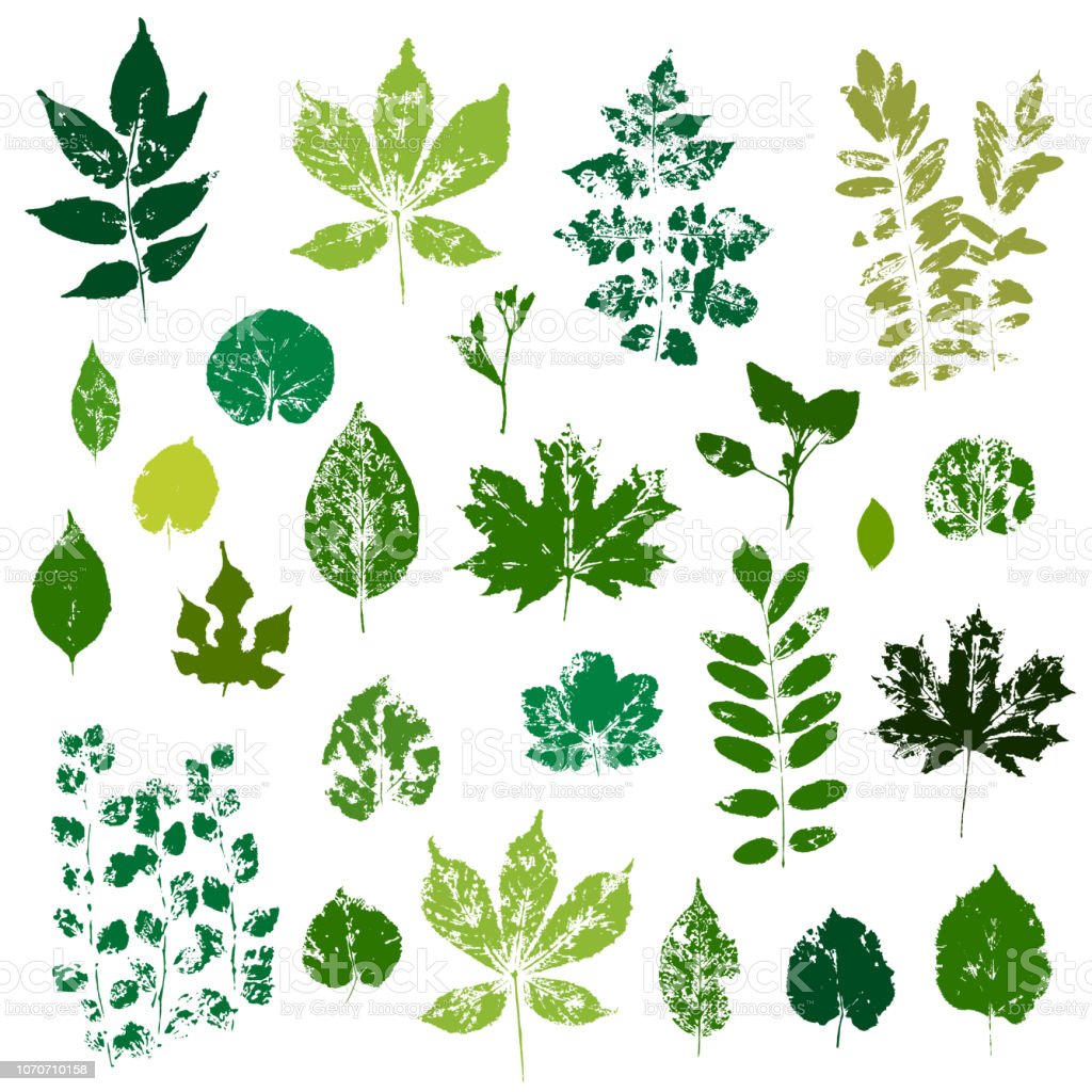 Detail Daun Background Vector Nomer 51