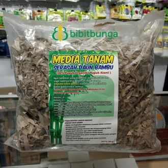 Detail Daun Bambu Kering Nomer 39