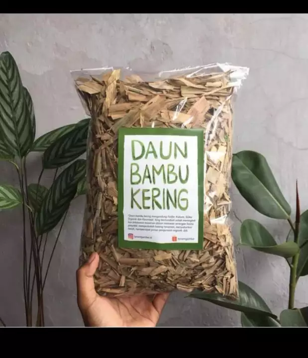 Detail Daun Bambu Kering Nomer 54