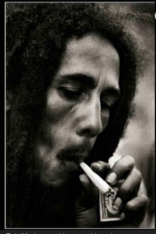 Detail Daun Bob Marley Nomer 9