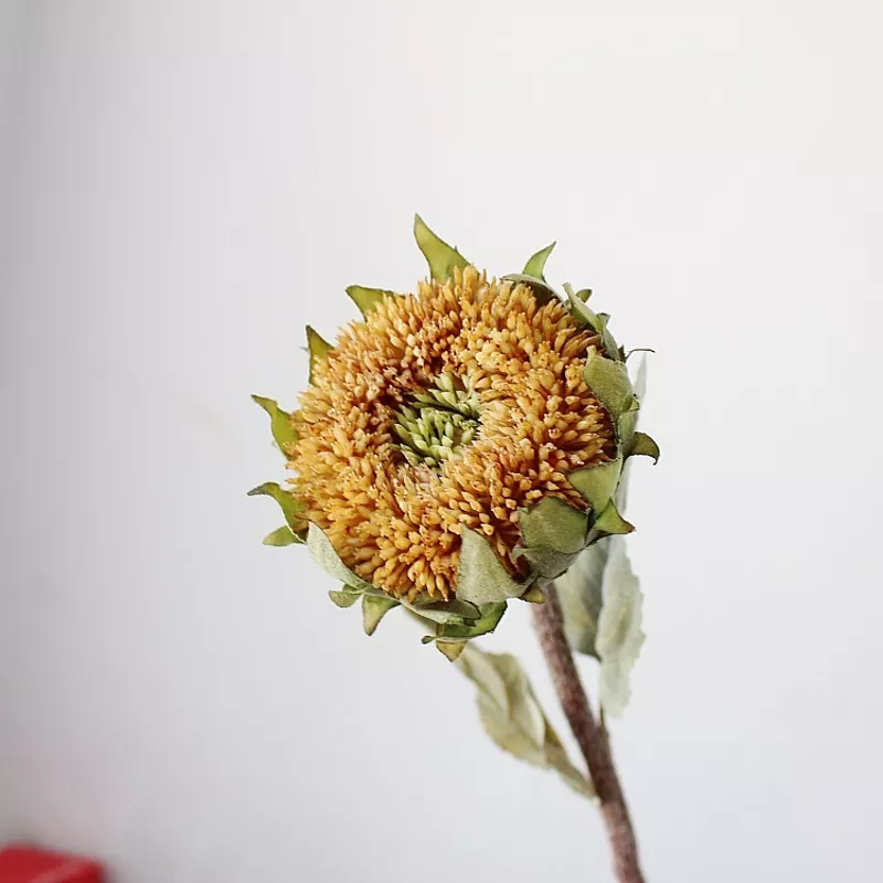 Detail Daun Bunga Matahari Kecil Nomer 51