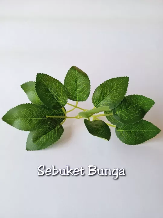 Detail Daun Bunga Mawar Nomer 45