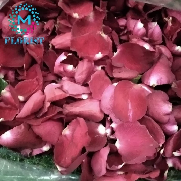 Detail Daun Bunga Mawar Rontok Nomer 34