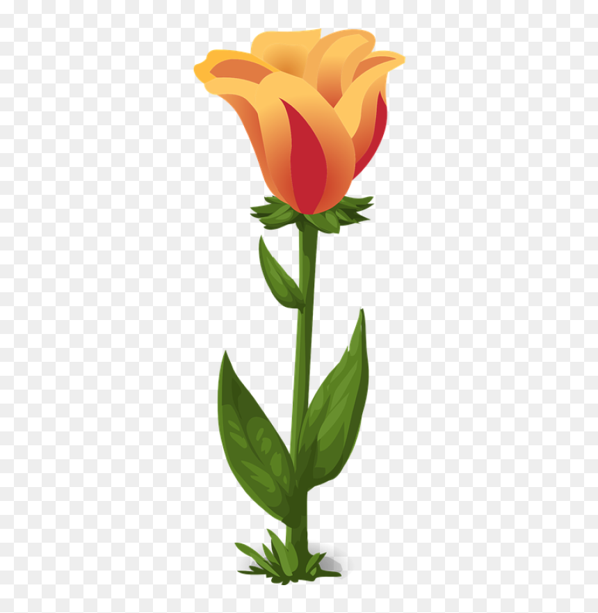 Detail Daun Bunga Tulip Nomer 37