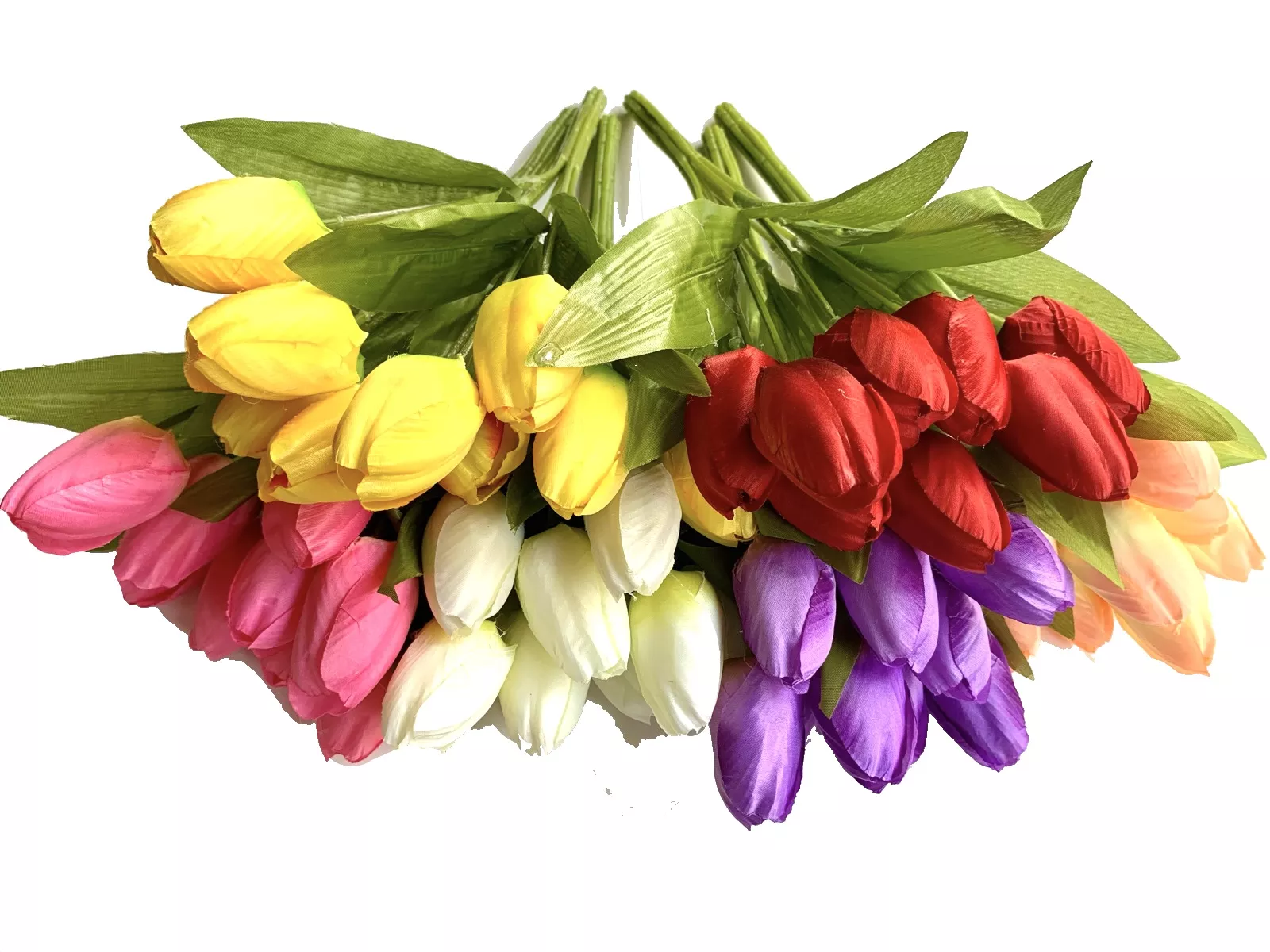 Detail Daun Bunga Tulip Nomer 41