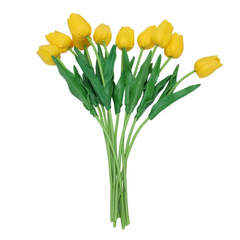 Detail Daun Bunga Tulip Nomer 42