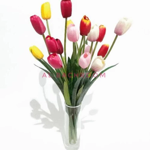 Detail Daun Bunga Tulip Nomer 46